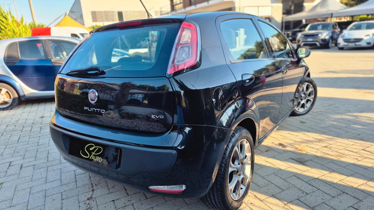 Fiat Punto Evo 1.3 Mjt 95 CV5pEURO5/catena appena cambiata /OK Neopatentati