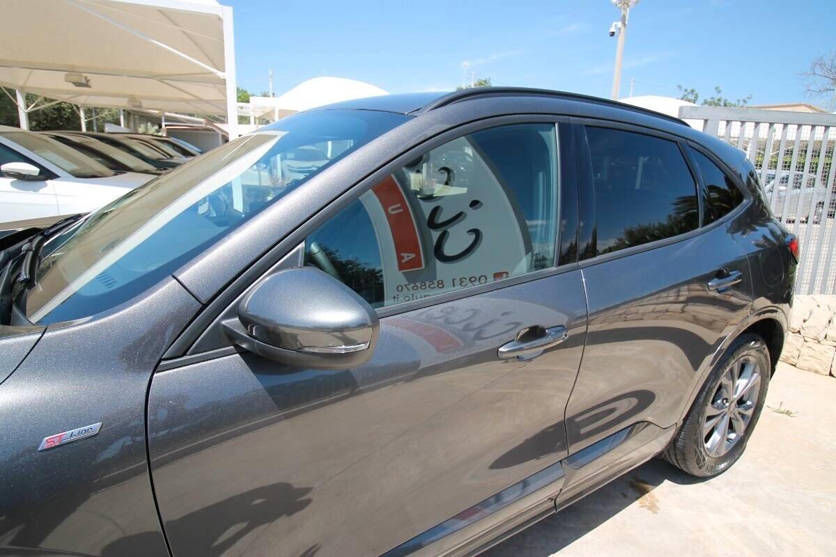 Ford Kuga 1.5 EcoBlue 120 CV auto ST-Line |2022