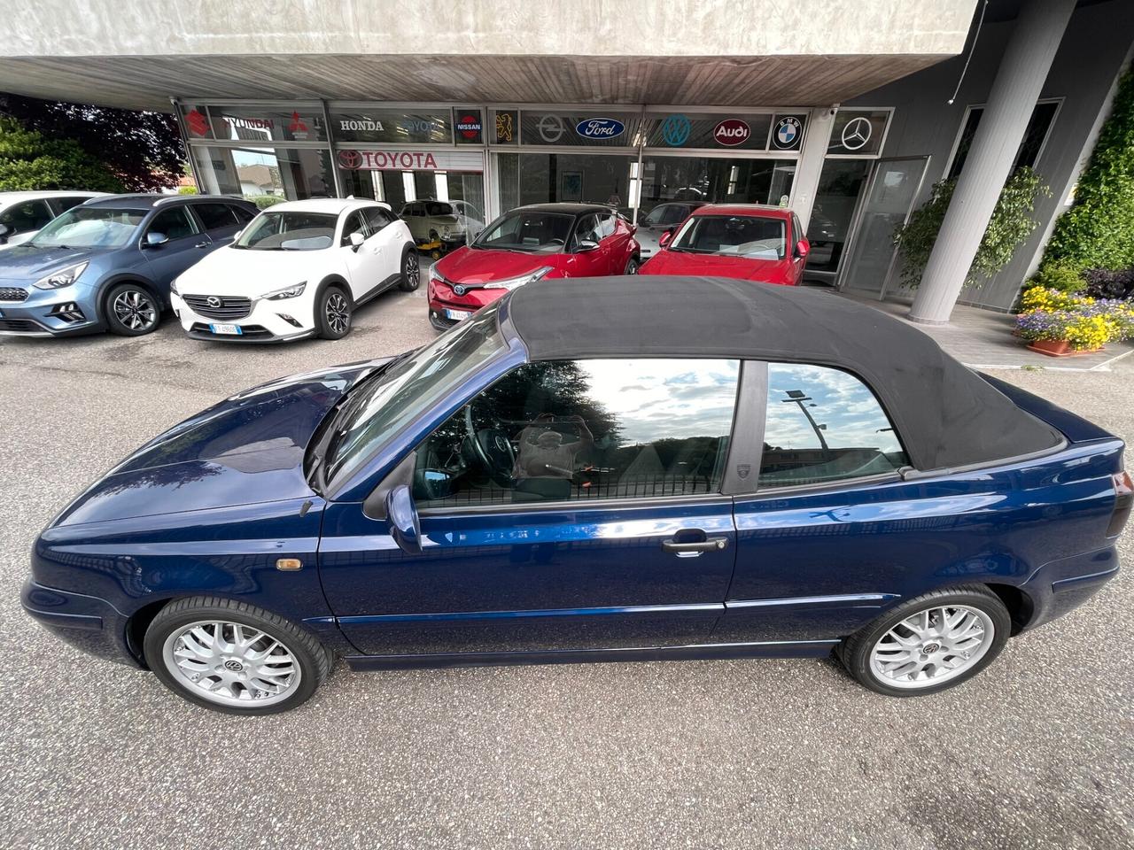 Volkswagen Golf Cabriolet Golf Cabriolet 1.6 cat Highline