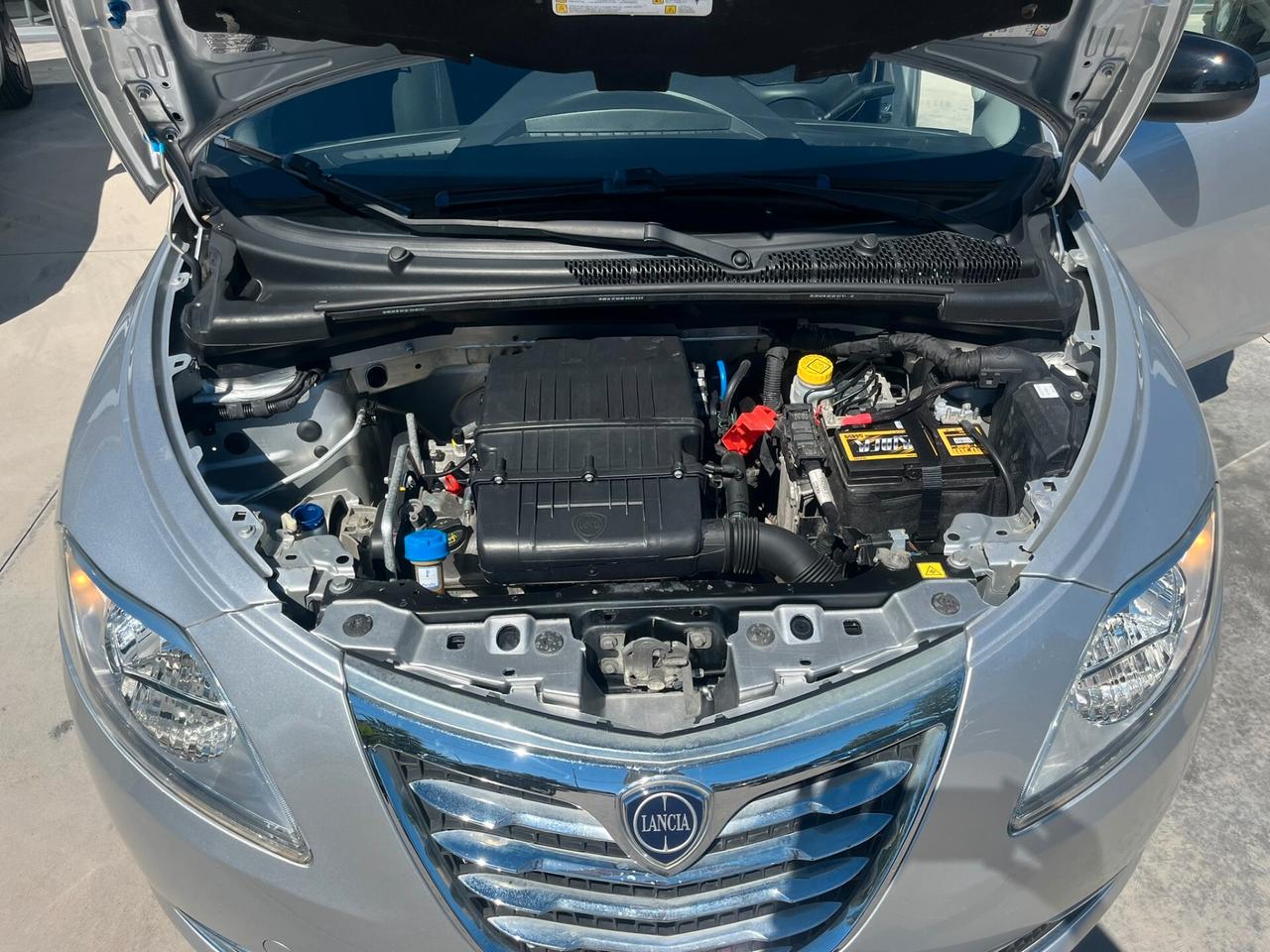 Lancia Ypsilon 1.2 69 CV 5 porte Gold