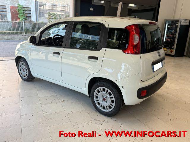 FIAT Panda Hybrid 1.0 FireFly 70 cv Neopatentati - PROMO