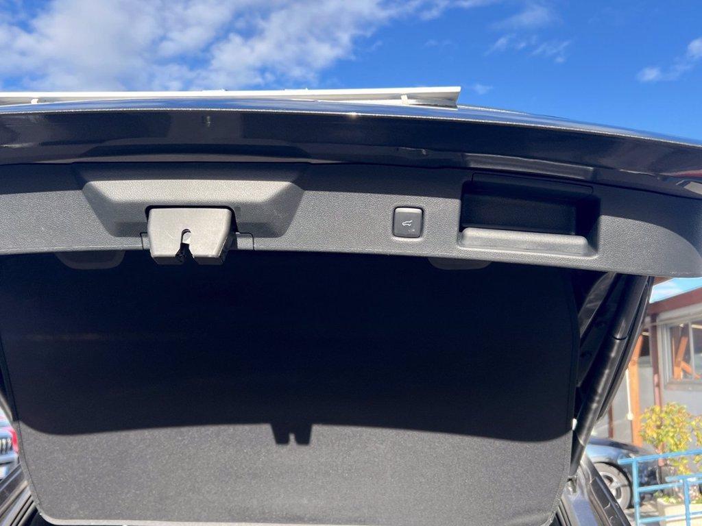 FORD Kuga 1.5 EcoBoost 150 CV 2WD Titanium X del 2023