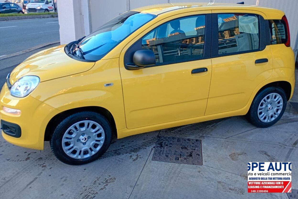 Fiat Panda PANDINA 1.0 FireFly S&S Hybrid Icon