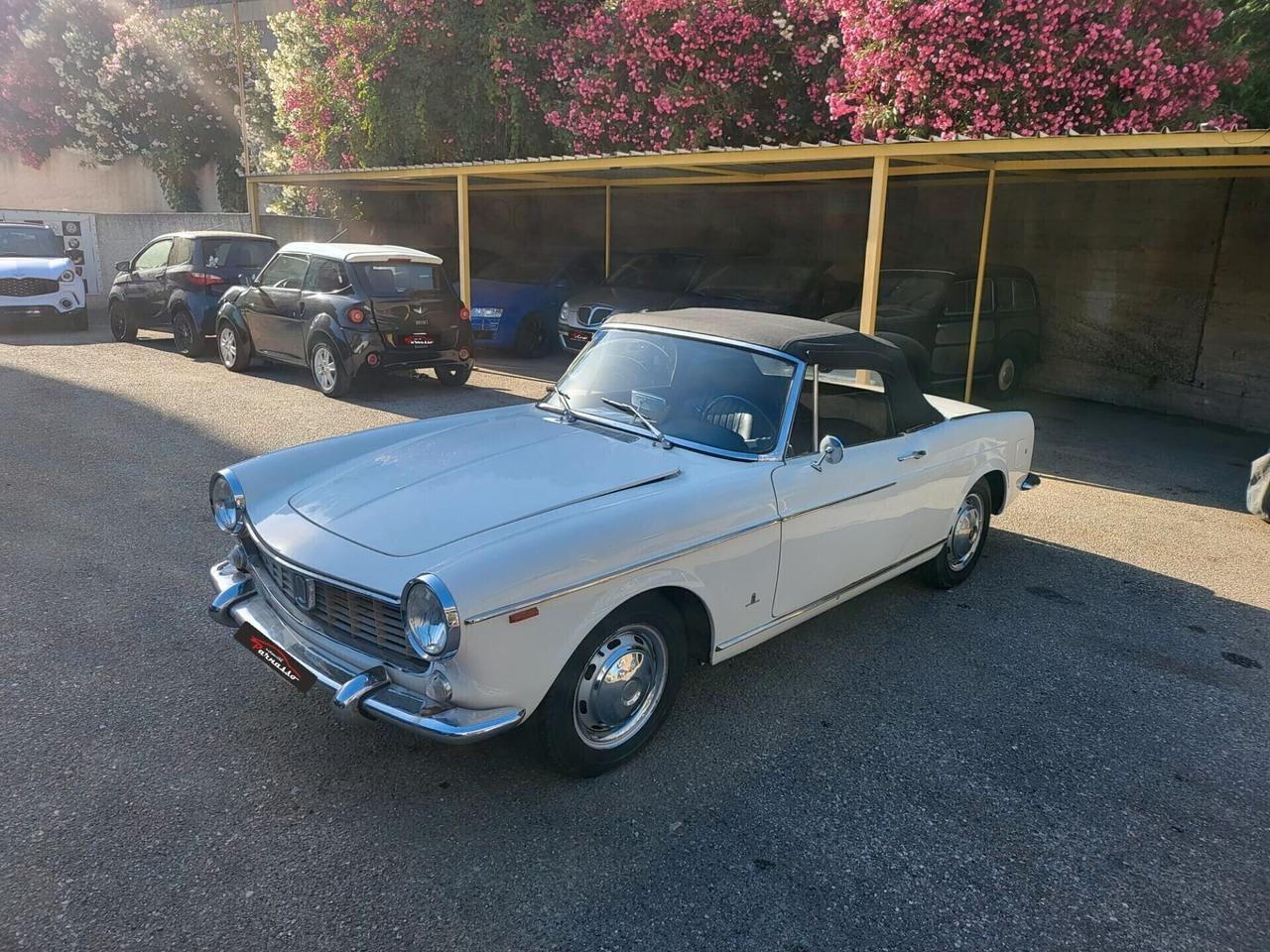 Fiat Pininfarina Spider 1500 Cabrio