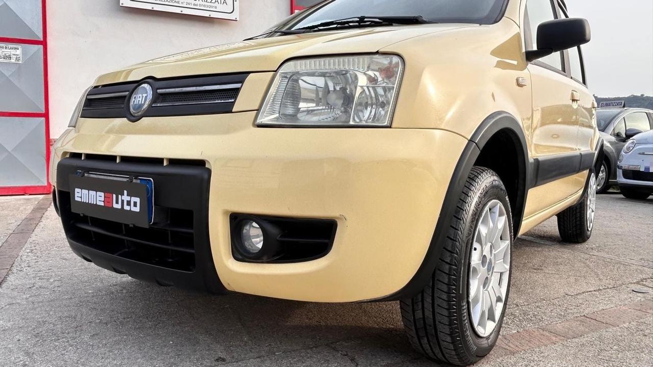 Fiat Panda 1.2 Benz 60cv 4x4