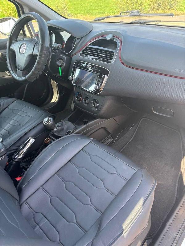 FIAT Punto NEOP. 1.4 8V 5 porte Natural Power Lounge