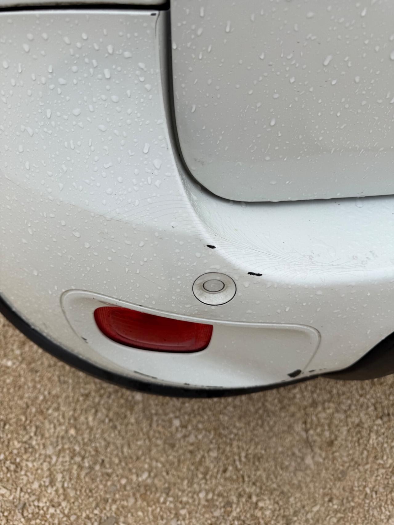 Fiat Panda 2016 4x4 autocarro n.1 1.3 MJT 95 CV S&S