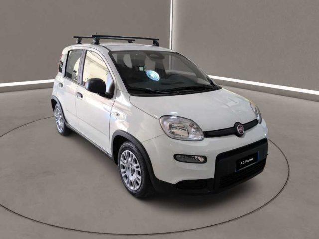 FIAT Panda 3ª serie - 1.0 FireFly S&S Hybrid