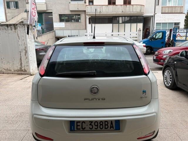 Fiat Punto Evo 1.3 Mjt 75 CV DPF 5 porte S&S Dynamic ok neop anno 03/2010