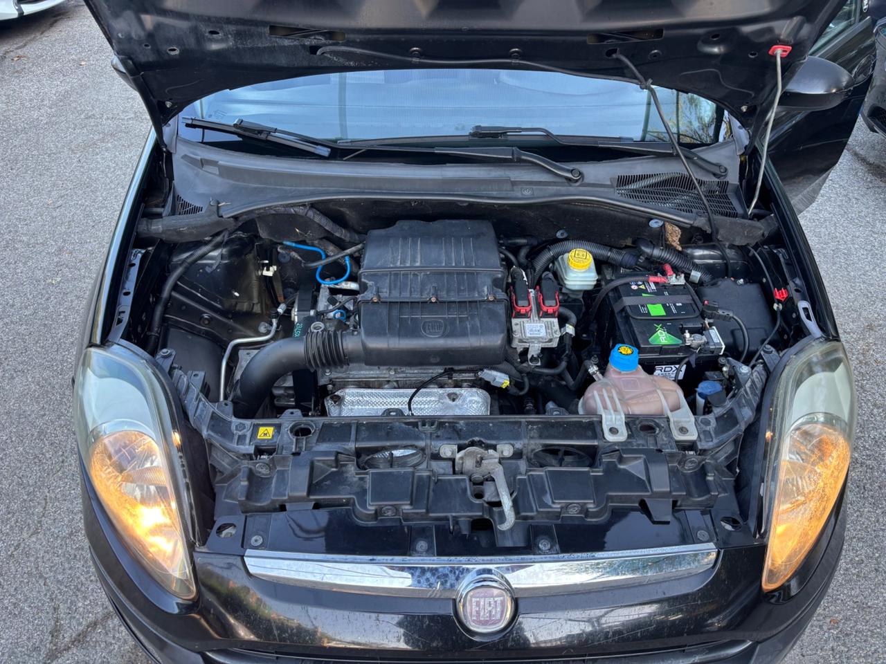 Fiat Punto Evo 1.2 5 porte GPL OK NEOPATENTATI