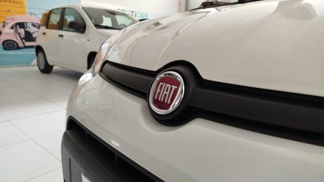 FIAT Panda 1.0 FireFly S&S Hybrid Icon
