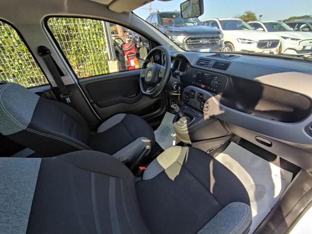 FIAT New Panda 1.0cc HYBRID CITY LIFE 70cv