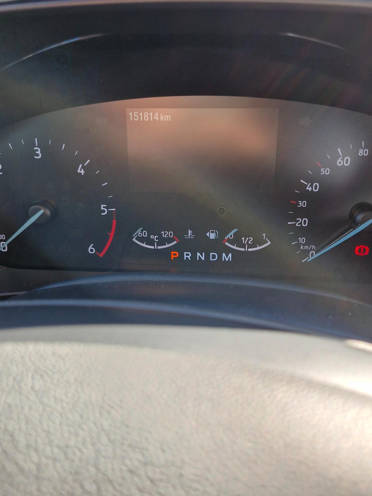 Ford Focus 1.5 EcoBlue 120 CV automatico SW ST-Line