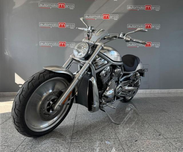 HARLEY-DAVIDSON 1130 V-ROD - VRSCA EDIZIONE LIMITATA RARA COLORAZIONE "28.000KM"