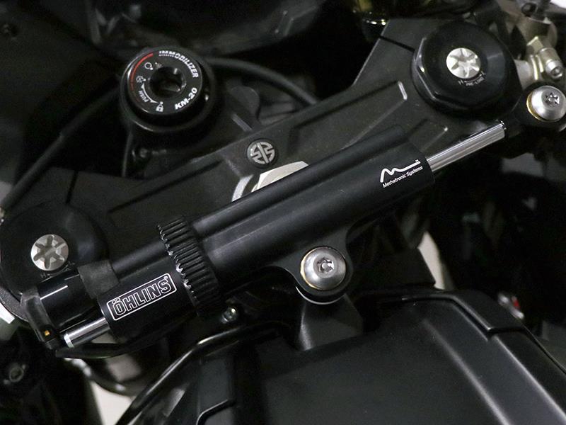 Kawasaki Ninja 1000 ZX-10RR Winter Test