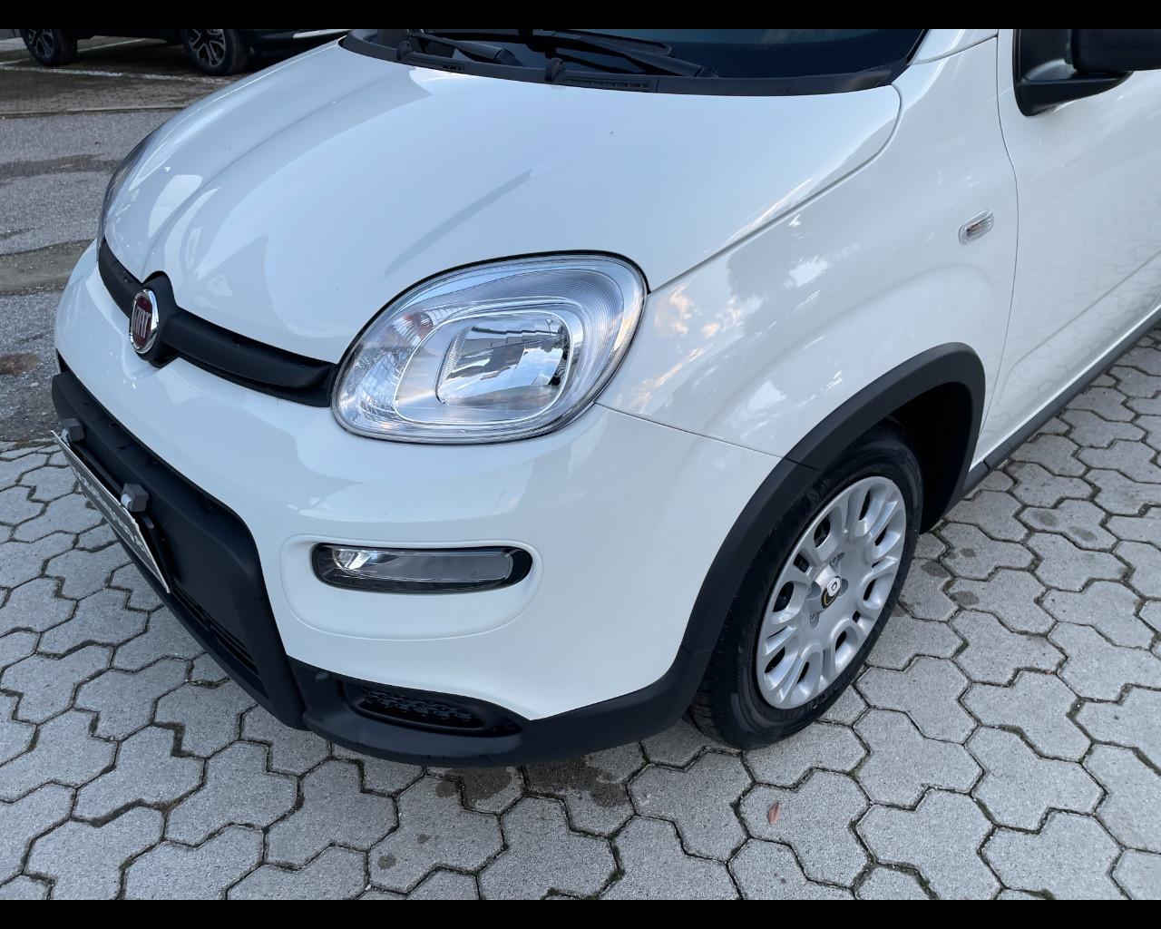 FIAT Panda III 2024 - Panda 1.0 firefly hybrid s&s 70cv