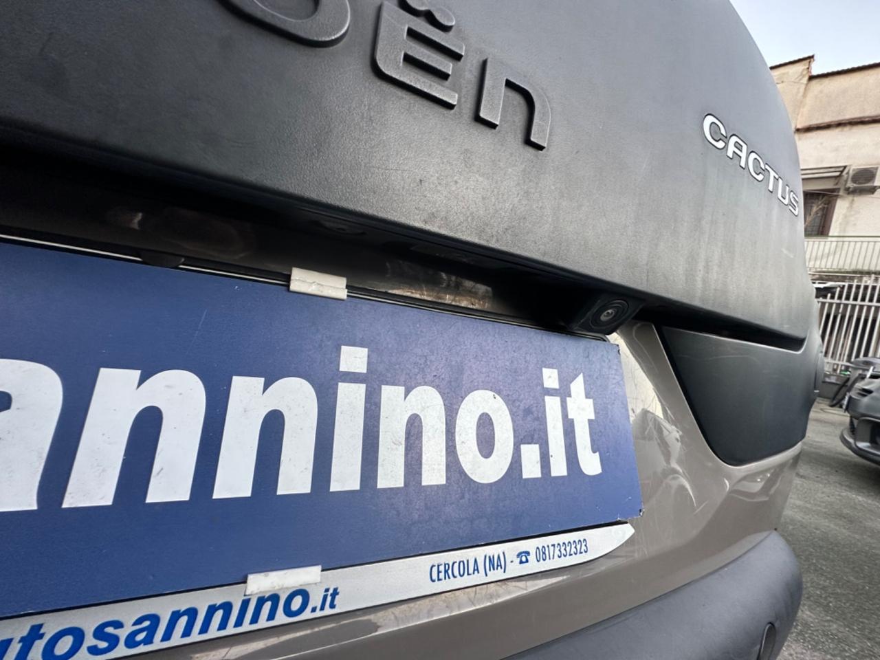 Citroen C4 Cactus BlueHDi 100 Shine Rip Curl Tetto panoramico