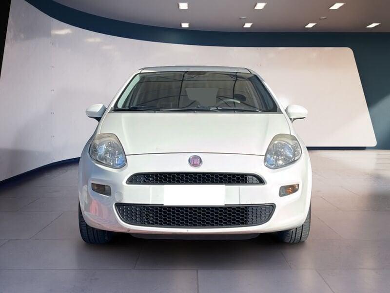FIAT Punto Punto 1.2 8V 5 porte Street