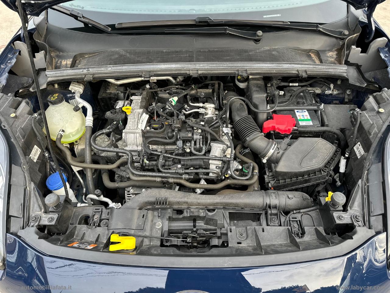 FORD Puma 1.0 HYBRID 125 S&S Titanium Design 10/2022 KM18.000