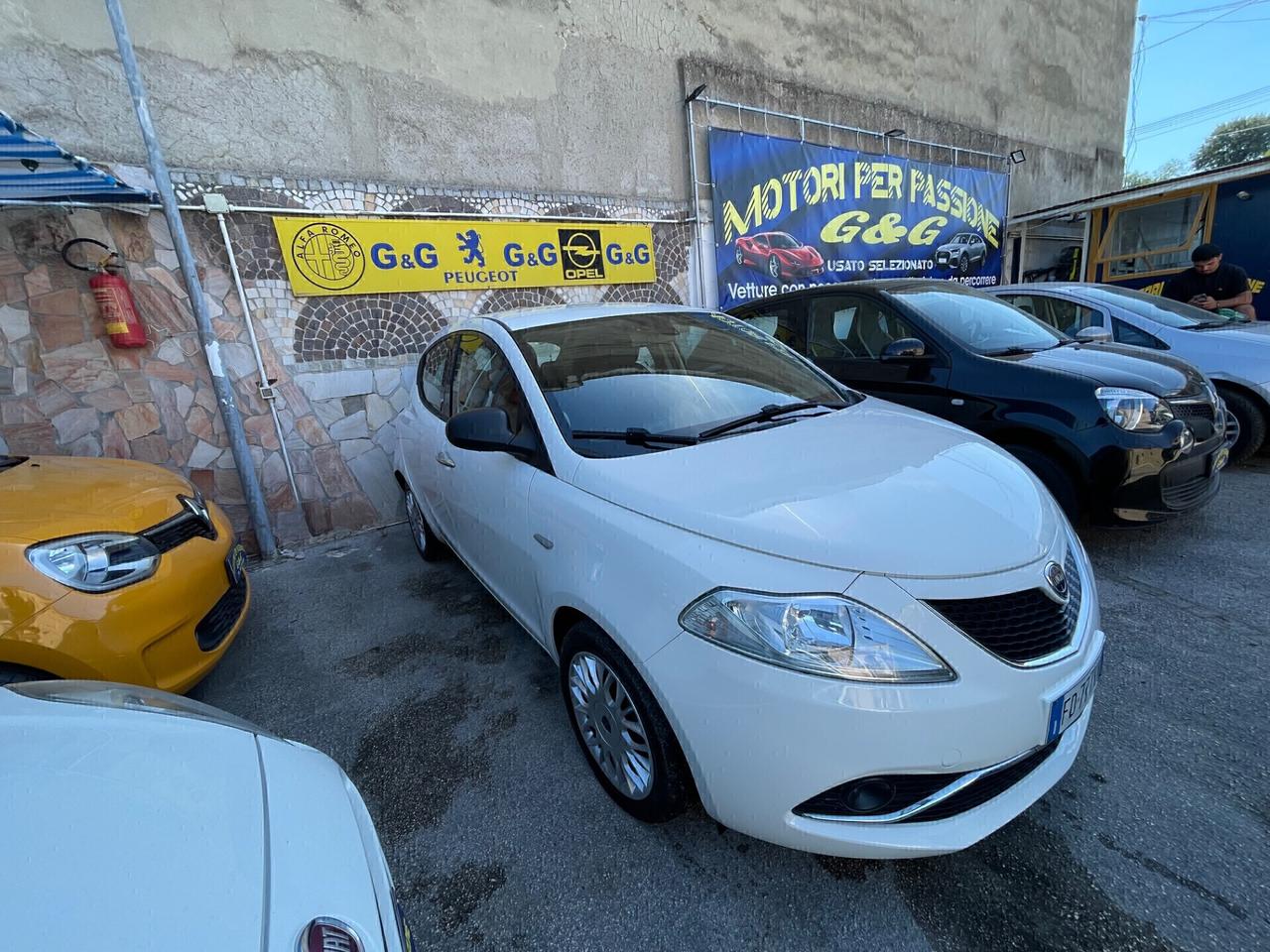 Lancia Ypsilon 1.2 69 CV 5 porte Gold