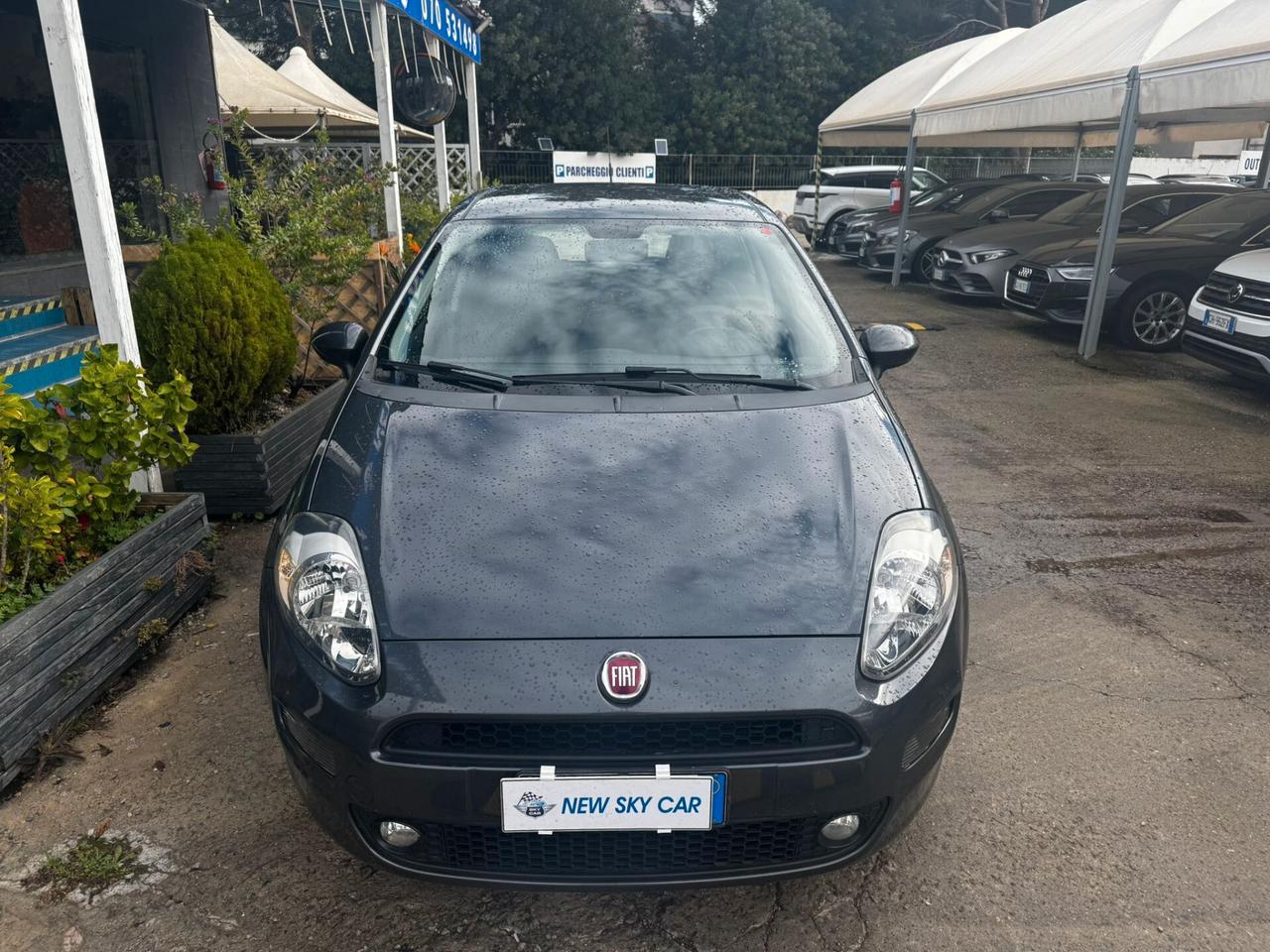 Fiat Punto 1.3 MJT II S&S 95 CV 5 porte Street