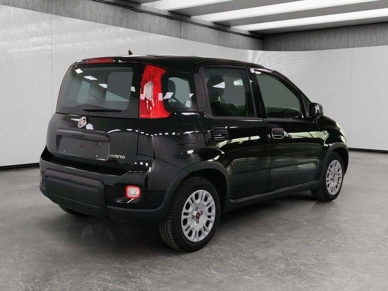 FIAT Panda 1.0 firefly hybrid s&s 70cv