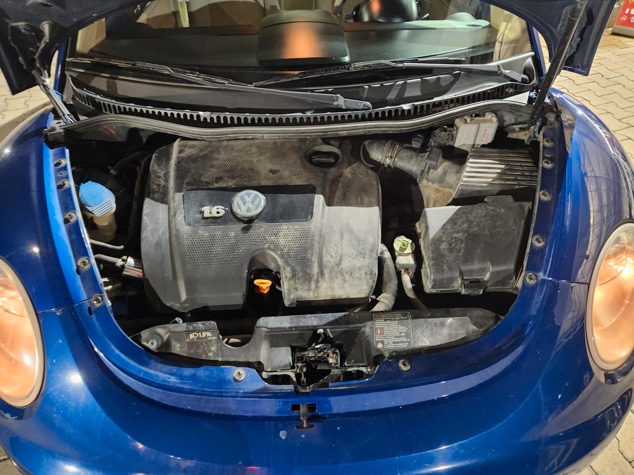 Volkswagen New Beetle benzina e gpl