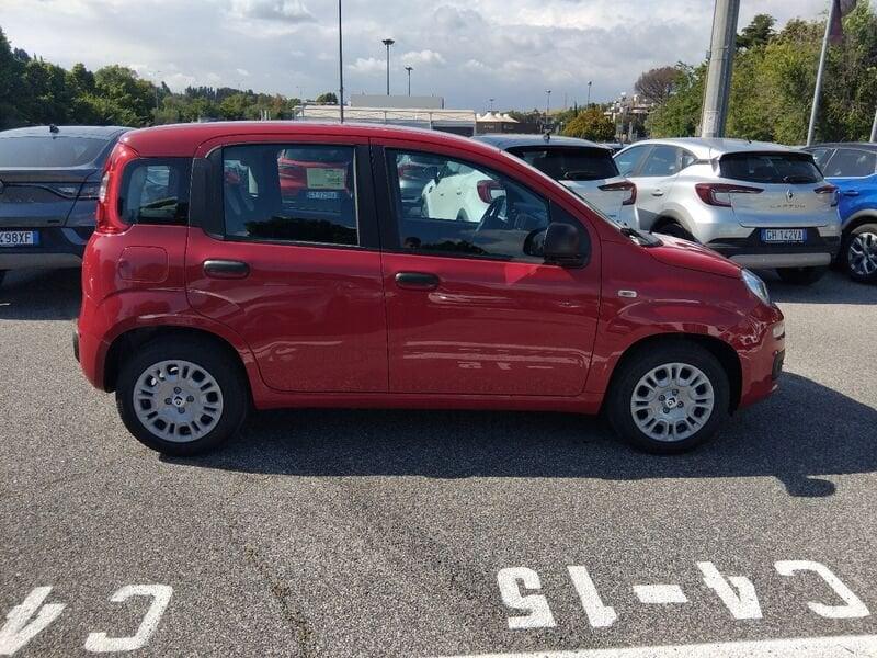 FIAT Panda New 1.0 70cv Hybrid Panda