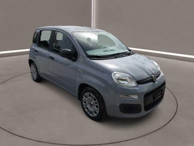 FIAT Panda 3ª serie - 1.0 FireFly S&S Hybrid