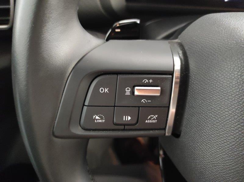 CITROEN C4 X - C4 X PureTech 130 S&S EAT8 Max