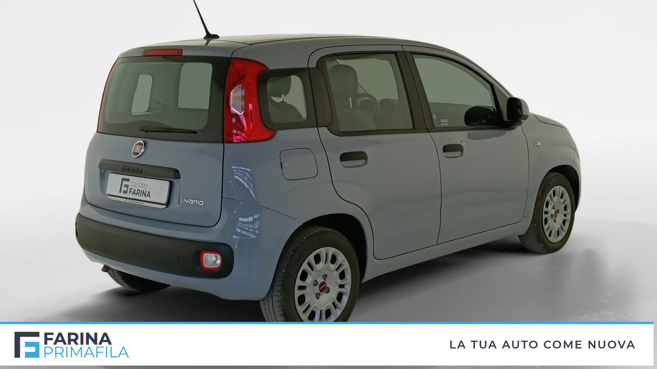 FIAT Panda III 2021 - Panda 1.0 firefly hybrid s&s 70cv
