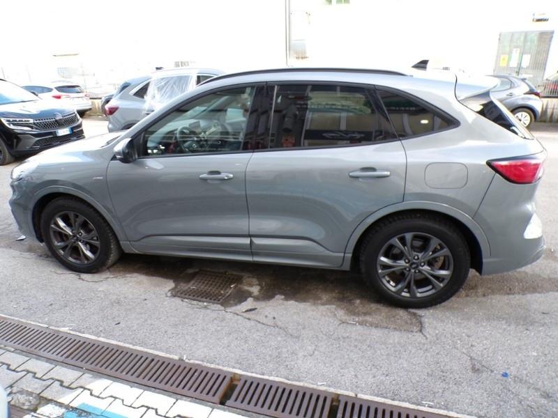 Ford Kuga 1.5 EcoBlue 120 CV 2WD ST-Line
