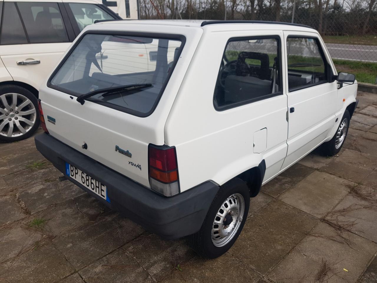 Fiat Panda 1100 i.e. cat Young