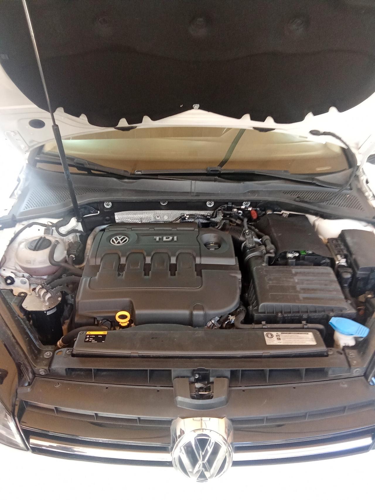 Golf Variant 1.6 TDI 110 CV DSG 12/015