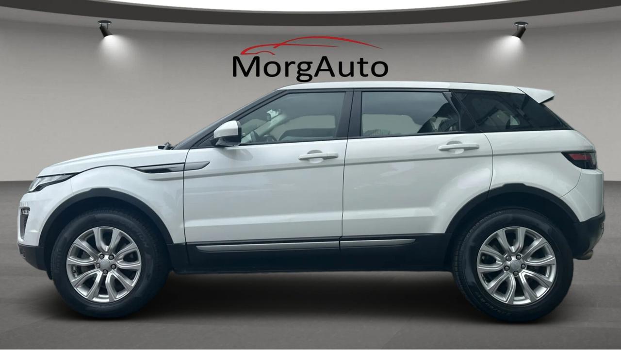Range Rover Evoque 2.0 TD4 180CV Automatica, Pelle
