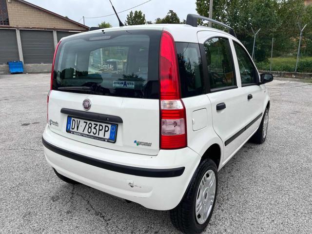 FIAT Panda 1.2 Dynamic Natural Power Mamy