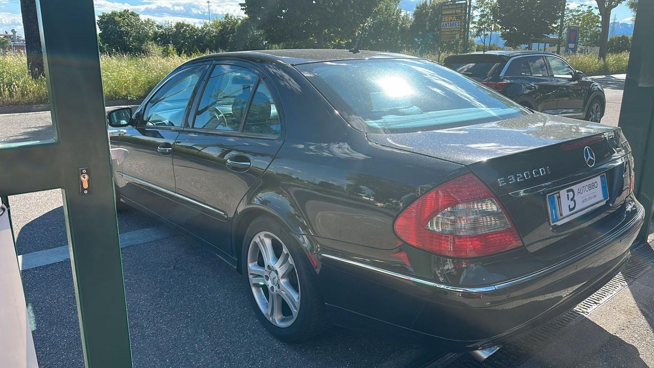Mercedes-benz E 320 CDI cat EVO Avantgarde Sport