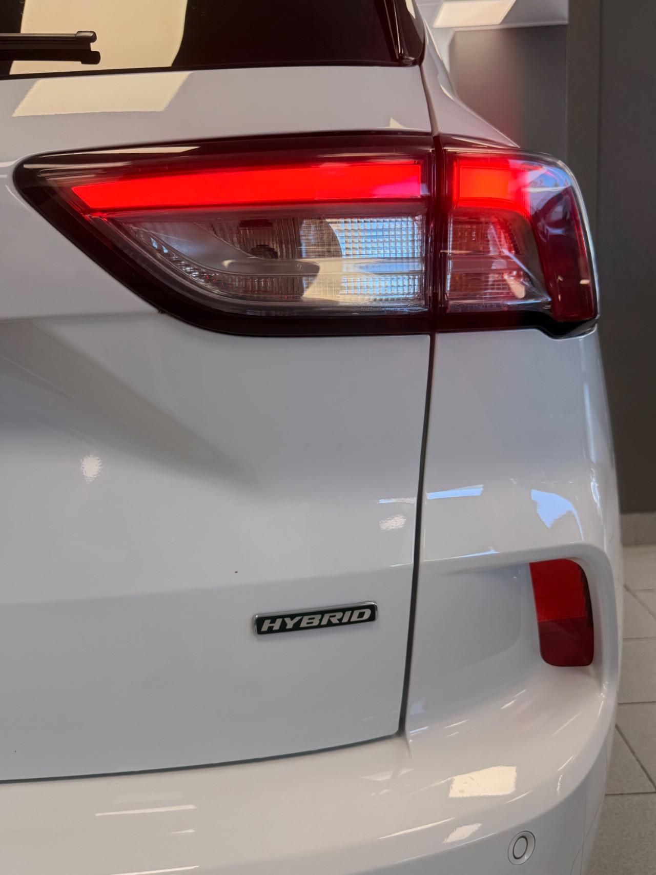 Ford Kuga 2.5 full hybrid ST-Line 190cv TETTO