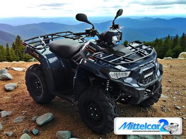KAWASAKI KX 450 BRUTE FORCE 450 T-CAT