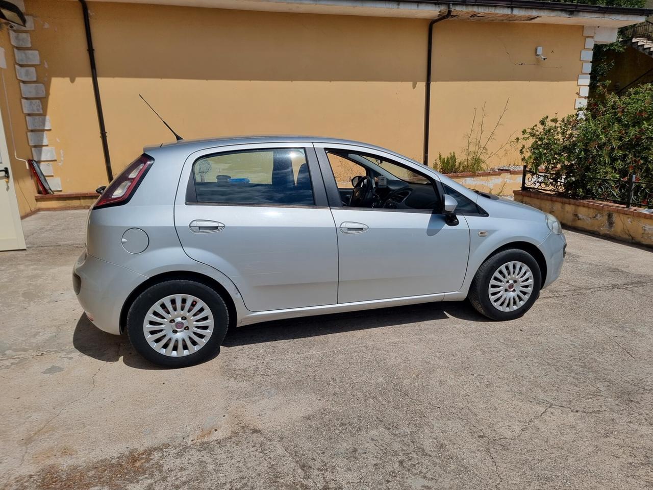 Fiat Punto Evo Punto Evo 1.2 5 porte Active