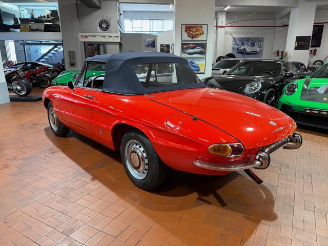 ALFA ROMEO Spider Osso di Seppia 1750 Veloce
