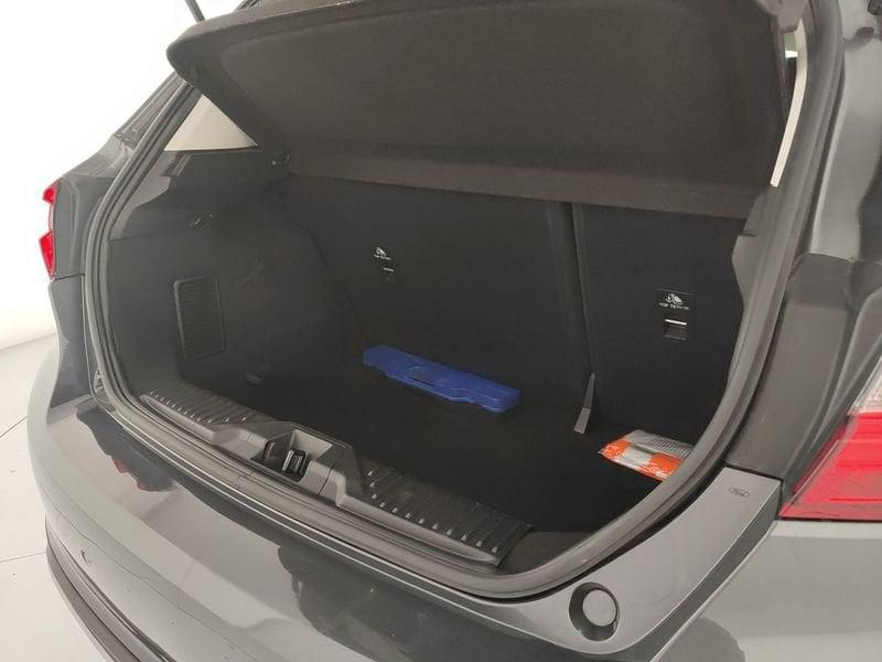 Ford Fiesta Active 1.0 Ecoboost 100 CV Start&Stop