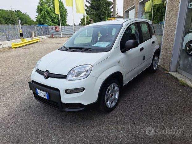 Fiat Panda Panda 1.0 firefly hybrid s