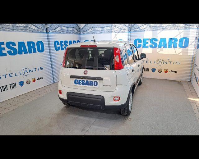 FIAT New Panda van 1.0 hybrid 70cv 4p.ti-DETAX