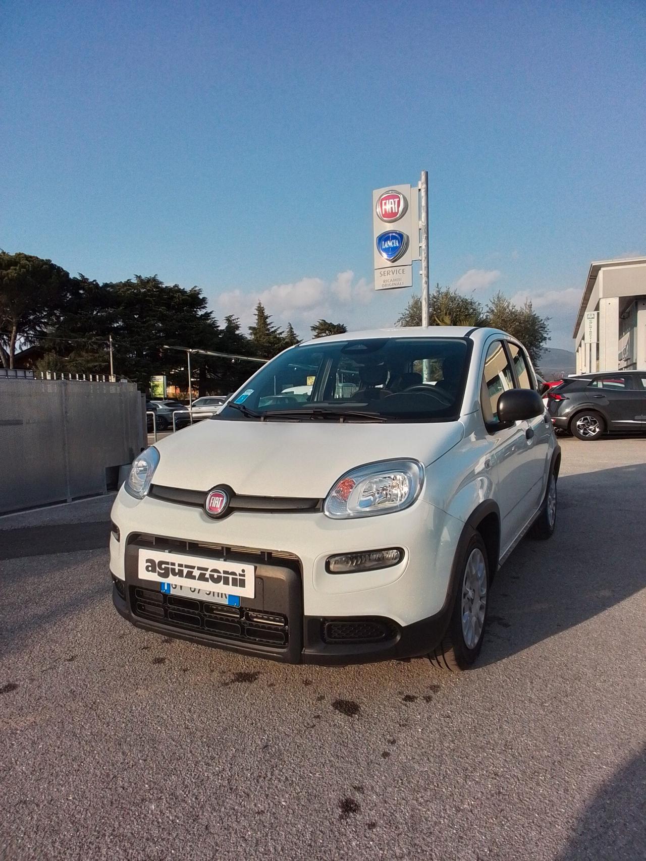 Fiat Panda 1.0 FireFly S&S Hybrid Pandina