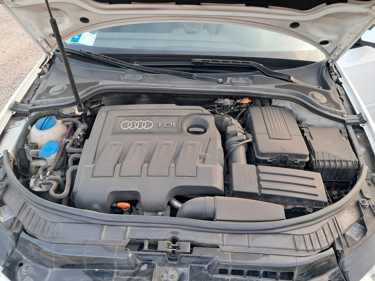 Audi A3 1.6 TDI 105 CV CR Ambition