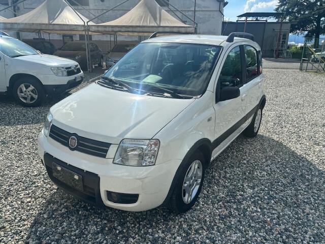 Fiat Panda 1.2 Climbing Natural Power