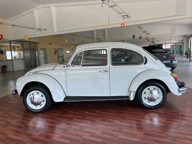 VOLKSWAGEN Maggiolone Maggiolino