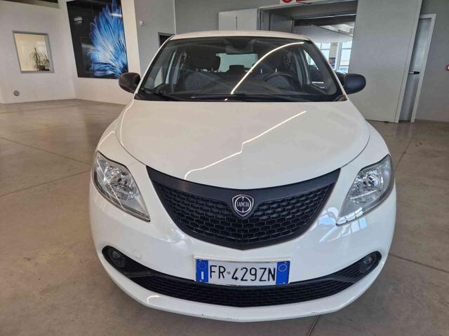 LANCIA Ypsilon 1.2 69 CV 5 porte GPL Ecochic Elefantino Blu