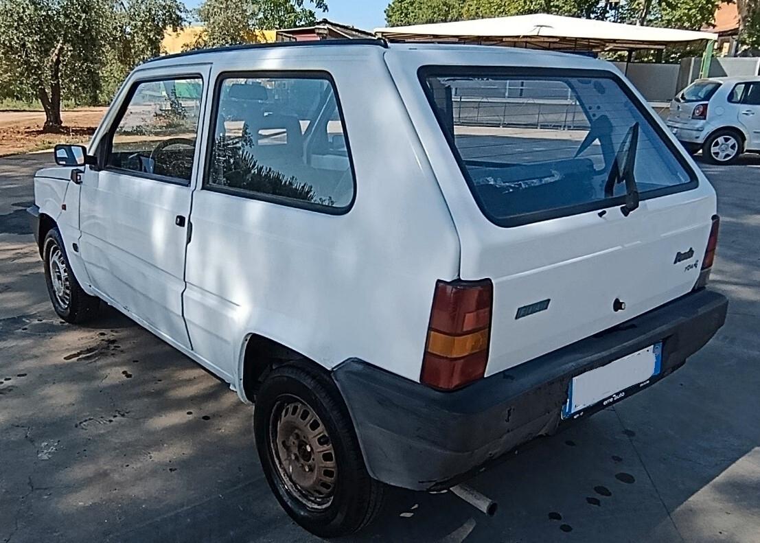 Fiat Panda 900 i.e. cat Young